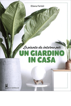 Le Piante Da Interno Per Un Giardino In Casa