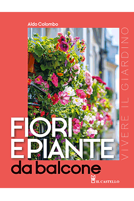 Fiori e piante da balcone