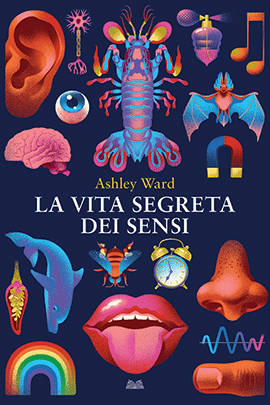 La Vita Segreta Dei Sensi