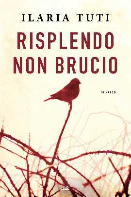Risplendo Non Brucio